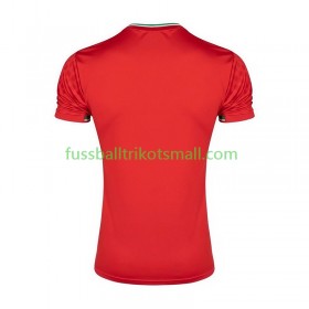 Fußballtrikots Iran 2026 Kurzarm Auswärts-trikot kaufen